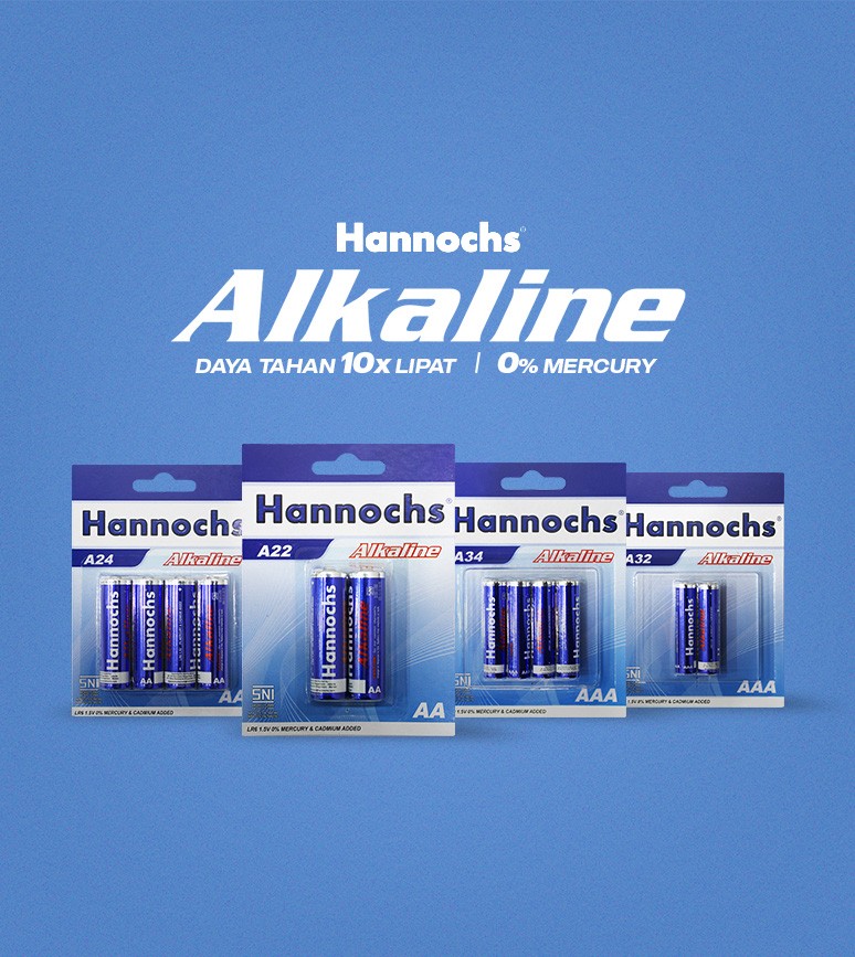 Hannochs Alkaline Battery