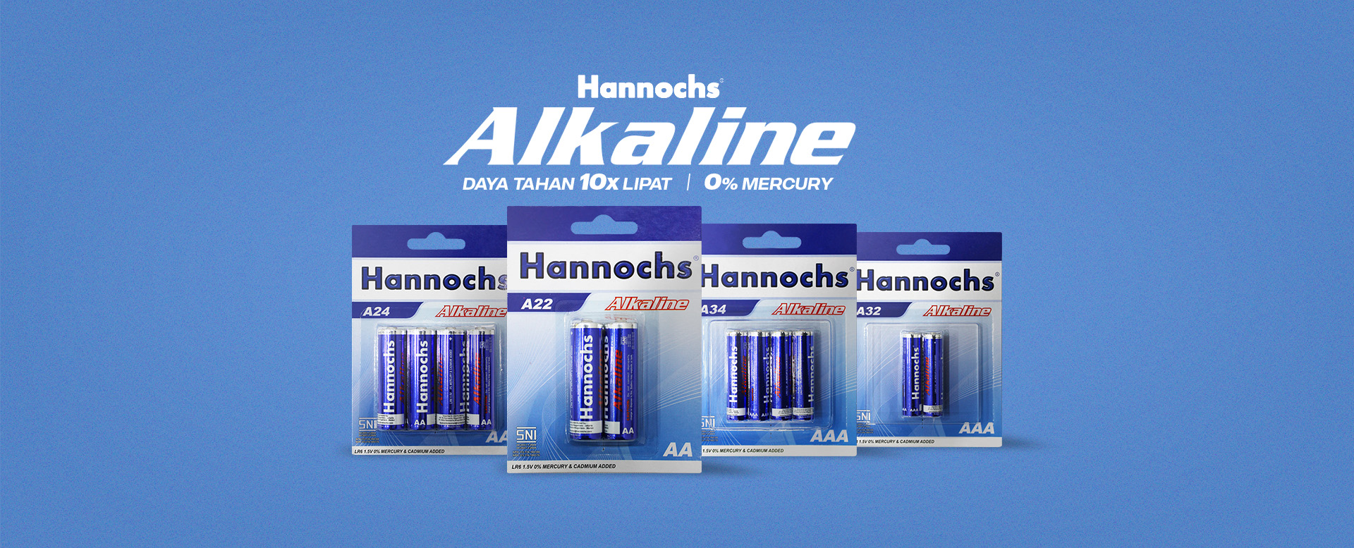 Hannochs Alkaline Battery
